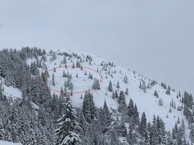 Foto: ZOOM.Tirol