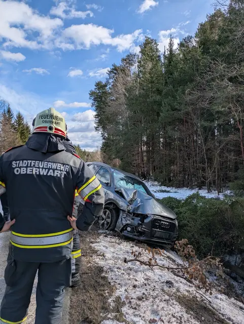 Ein Pkw war von der Fahrbahn gerutscht. Eine Person wurde dabei verletzt. | Foto: Stadtfeuerwehr Oberwart