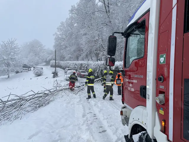 Vielerorts blockierten umgefallene Bäume die Fahrbahnen. | Foto: FF Leoben-Göss