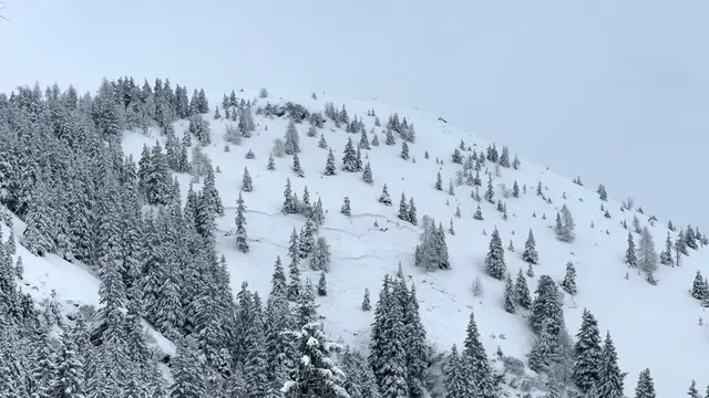 Foto: ZOOM.Tirol