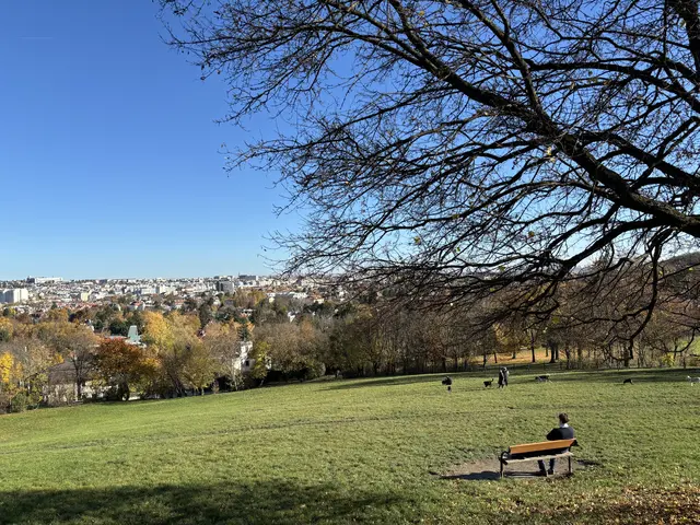 Die Hundezone am Roten Berg ist 8.450 Quadratmeter groß. | Foto: Marlene Graupner/MeinBezirk