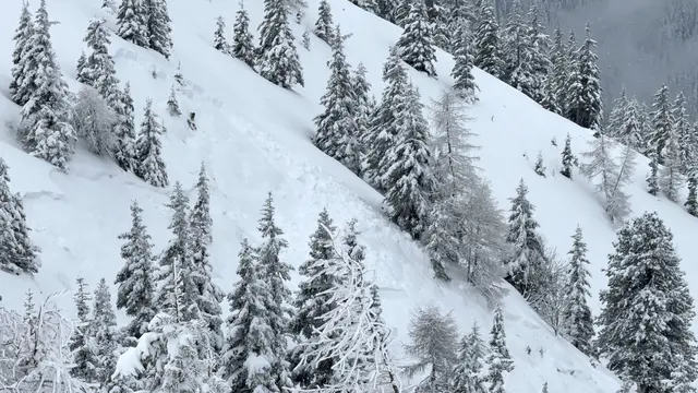 Foto: ZOOM.Tirol