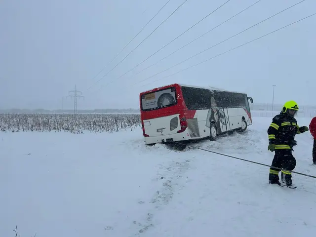 Die Feuerwehr Mattersburg arbeitete 40 Einsätze in rund zwölf Stunden ab. Rund drei Dutzend Einsatzkräfte waren im Dauereinsatz. | Foto: Feuerwehr Mattersburg