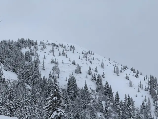 Lawineneinsatz in Alpbach: Bei einem Lawinenabgang in Alpbach wurden am Freitag drei Wintersportler verschüttet.  | Foto: ZOOM.Tirol