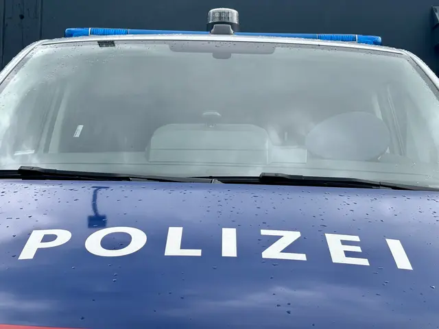 Schärdings Polizei nahm einen 62-jährigen Italiener fest. | Foto: Carmen Kurcz