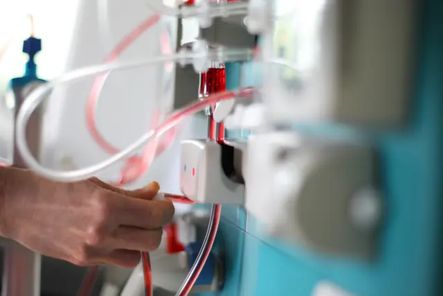 Eine Dialyse kann eine Übergangslösung für ein Spenderorgan sein. | Foto: Adobe.stock/Peter Atkins