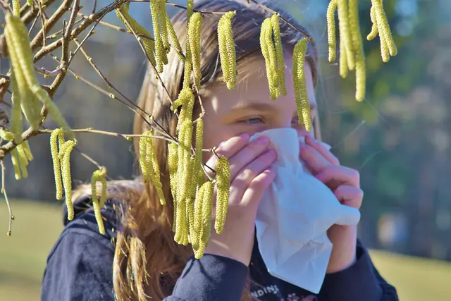 Erle und Hasel erreichen dieser Tage ihre Vollblüte. Mit Auswirkungen auf Menschen, die gegen die Pollen der Pflanzen allergisch sind. | Foto: Franz Fink