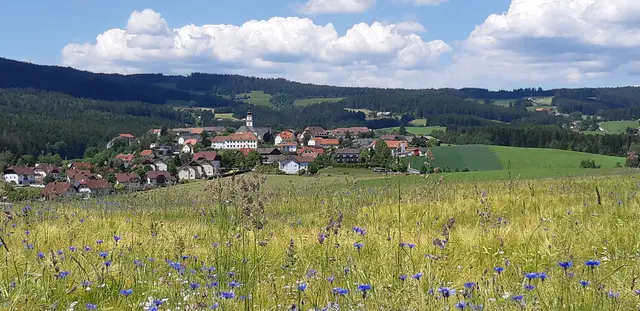  "Jogllandoase" könnte man auch Wenigzell an sich nennen. | Foto: Franz Faustmann