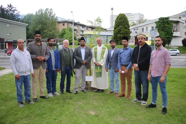 Beim Pflanzen des Friedensbaum 2019. | Foto: AMJ
