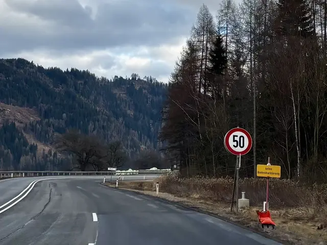 Im Bereich der Pichlkurve gilt jetzt ein 50er. | Foto: MeinBezirk/Julia Gerold