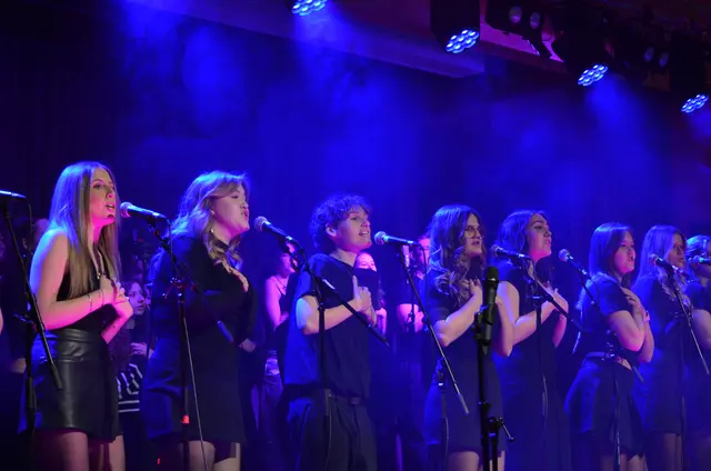 Im 36. Benefizkonzert im Borg Bad Radkersburg wurden Welthits interpretiert. | Foto: BORG Bad Radkersburg