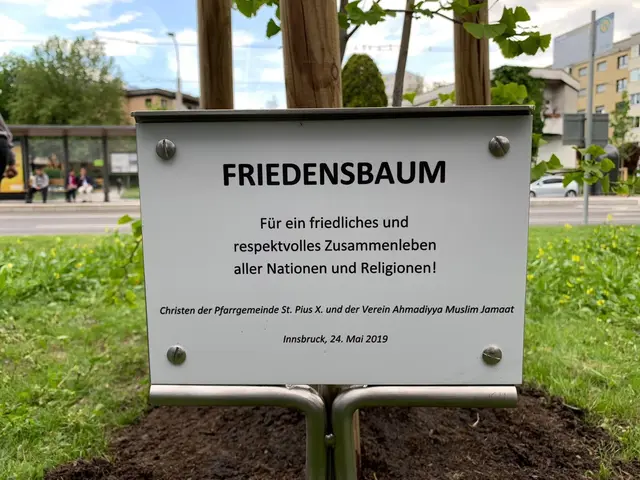Der 2019 gepflanzte Friedensbaum gemeinsam mit der Pfarrgemeinde St. Pius. | Foto: AMJ