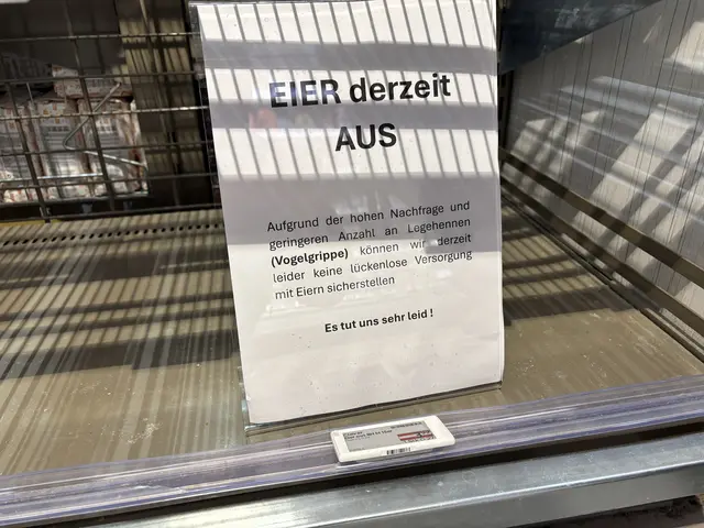Ein Bild aus einer Billa-Filiale von Anfang Jänner. Damals sprach man schon von "hoher Nachfrage" und einer "geringen Anzahl an Legehennen (Vogelgrippe)". | Foto: Johannes Reiterits/MeinBezirk