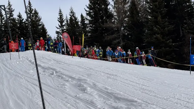 Foto: Lena Ferstl