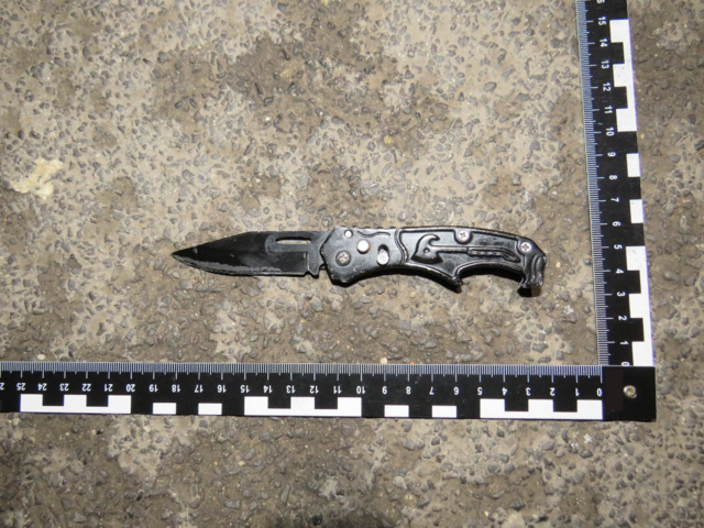 Eine 22-Jährige soll Dienstagnacht auf ihren Bekannten eingestochen haben. | Foto: LPD Wien