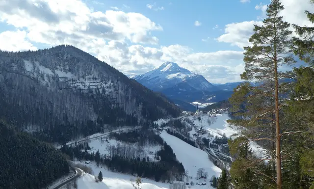Blick auf die Halterlahn in Annaberg – eines der bekannten Lawineneinzugsgebiete im Bezirk. | Foto: WLV