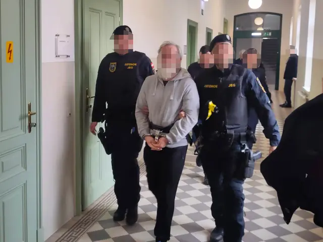 Die Angeklagten wurden von Justizbeamten vorgeführt. | Foto: Katharina Schrefl