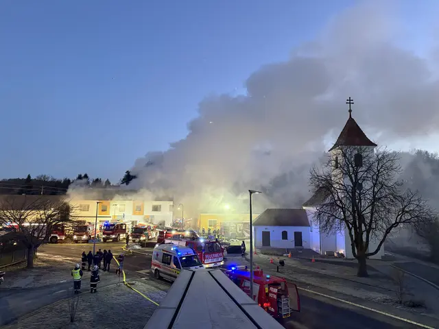 Zehn Feuerwehren mit 27 Fahrzeugen rückten aus, ebenso das Rote Kreuz und die Polizei. | Foto: Bezirksfeuerwehrkommando Güssing