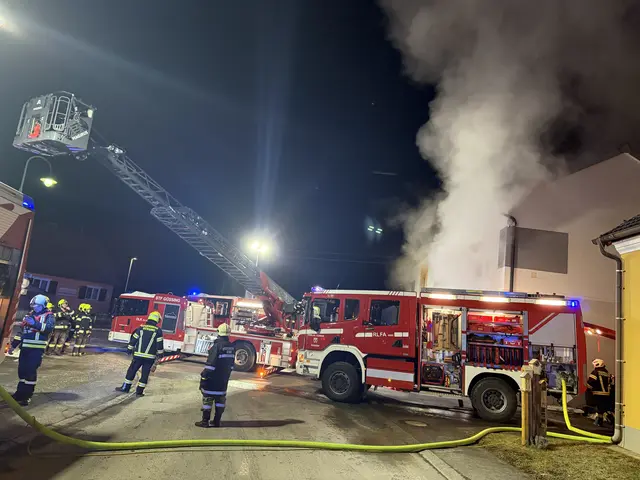 Nach zweieinhalb Stunden war das Feuer unter Kontrolle. | Foto: Bezirksfeuerwehrkommando Güssing