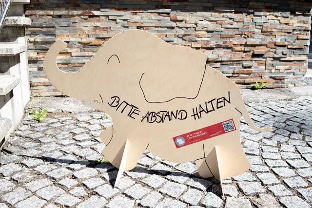 "Ein Babyelefant Abstand" hörten die Wienerinnen und Wiener während der Pandemie sicher nicht nur einmal.  | Foto: Tobias Steinmaurer/picturedesk.com