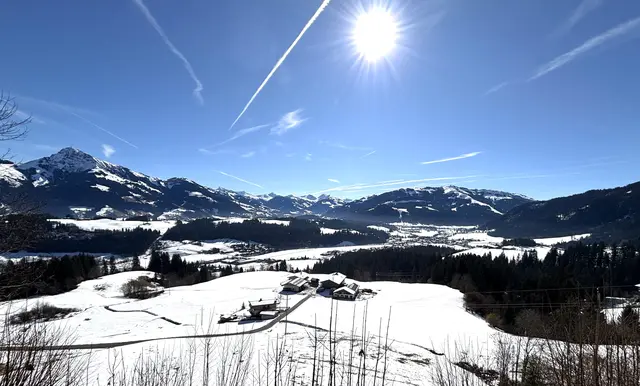 Foto: Nikolaus Kogler
