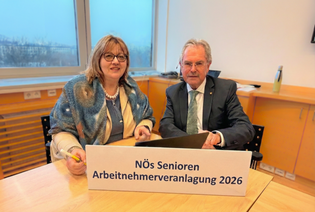 NÖs Senioren unterstützen bei Terminen im ganzen Bundesland beim Steuerausgleich. Holen Sie sich jetzt Geld zurück. | Foto: NÖs Senioren