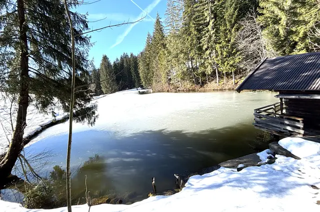 Lieblingsplatzl von Bgm. Stefan Jöchl: Plattenteich. | Foto: Nikolaus Kogler