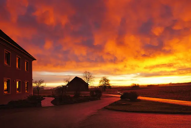 So schön war der Februar in Oberösterreich - Jetzt durchklicken! | Foto: Thomas Lettner