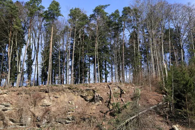 Foto: Daniel Scharinger