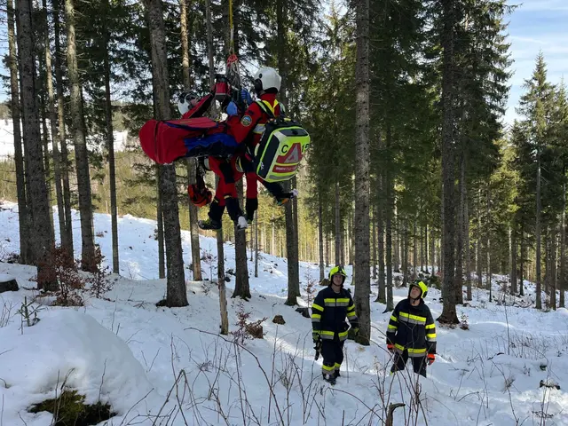 Der schwer verletzte Forstarbeiter wurde mittels Taubergung durch den Rettungshubschrauber von der Unfallstelle geborgen.  | Foto: FF Neuberg