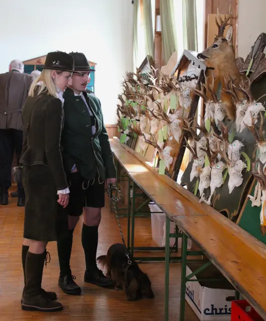 Die Trophäenschau war auch dieses Jahr ein Höhepunkt des Bezirksjägertags. | Foto: BJA Braunau
