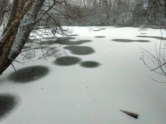 Das große Teichbecken - mit Wasser gefüllt. | Foto: DEV Auersthal