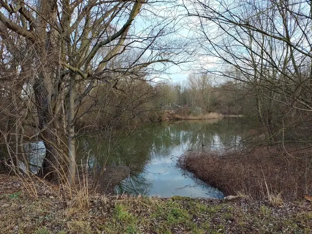 Das große Teichbecken - mit Wasser gefüllt. | Foto: DEV Auersthal