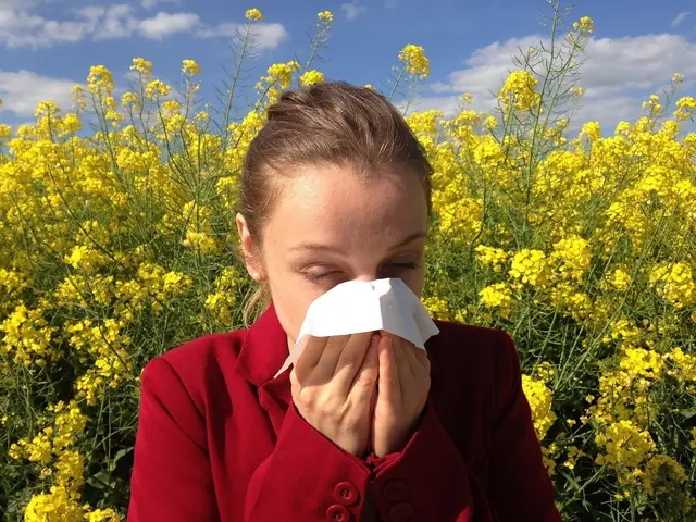 Das milde Wetter sorgt für eine höhere Pollenbelastung in weiten Teilen Wiens. (Symbolbild) | Foto: Corina auf Pixabay