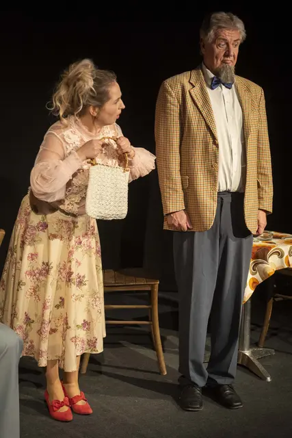 Eine überaus gelungene Premiere mit dem Theaterklassiker "Pension Schöller" feierte die MimusBühne Waldhausen am Samstag, 28. Februar, im voll besetzten Saal im Gasthaus Hader.  | Foto:  Hans Hofer 