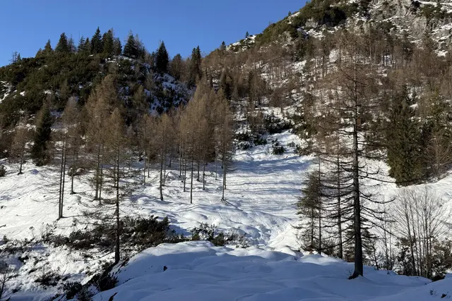 Die Realübung der OLEX.26 findet am Truppenübungsplatz Hochfilzen in teils schwierigem Terrain statt. | Foto: Land Salzburg