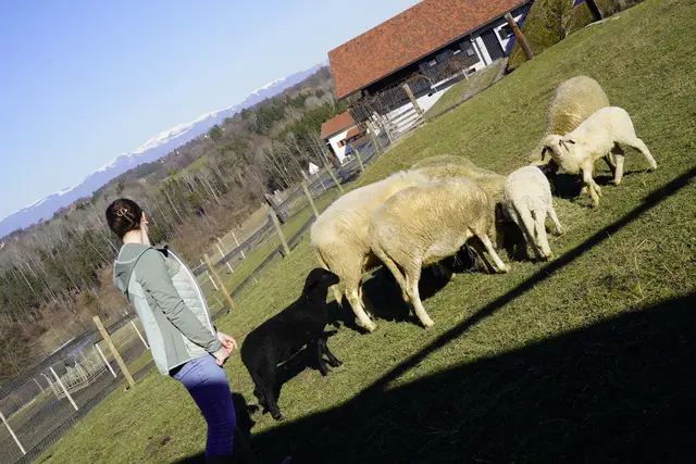 Foto: MeinBezirk/Simon Michl