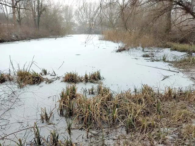Das große Teichbecken - mit Wasser gefüllt. | Foto: DEV Auersthal
