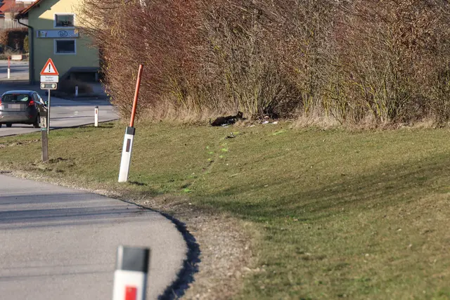 Foto: laumat/Matthias Lauber