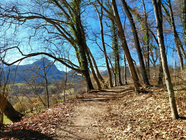 Foto: H.Bachinger