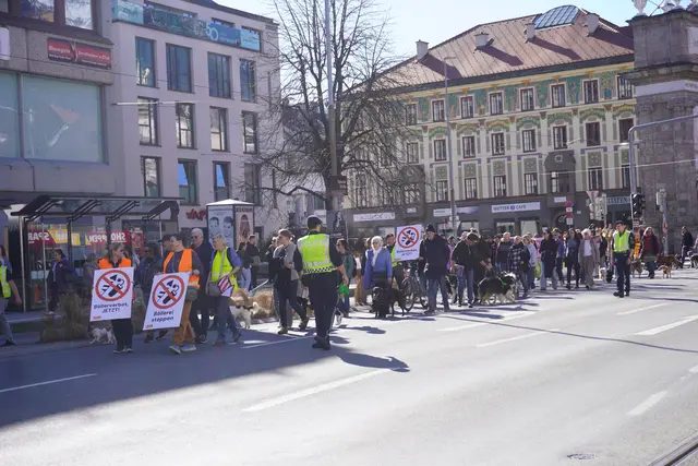 Zahlreiche Vierbeiner mit ihren Besitzern zogen durch die Straßen. 