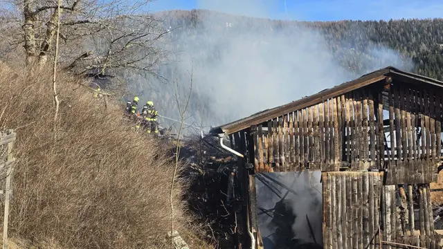 Foto: Freiwillige Feuerwehr Ebene Reichenau