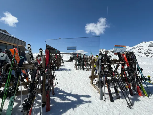 Sichergestellte Schier nach mehreren Diebstählen im Skigebiet Hochzillertal. Zwei Tatverdächtige wurden nach einem Zeugenhinweis ausgeforscht. | Foto: zoom.tirol