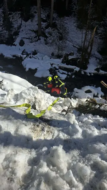 Foto: Freiwillige Feuerwehr Ebene Reichenau