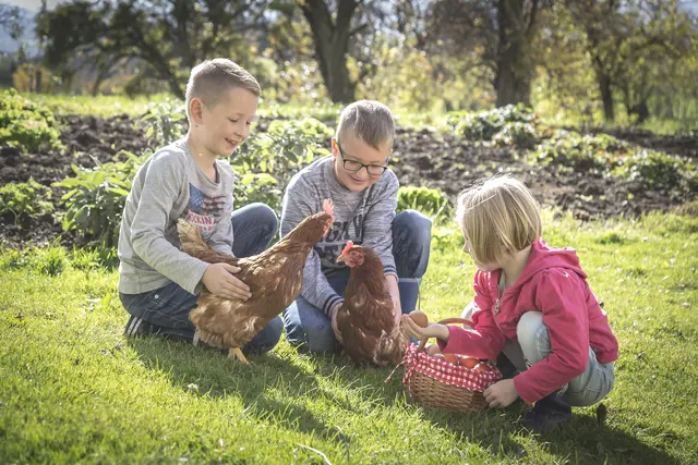 Landwirtschaft hautnah erleben: Die Programme von Schule am Bauernhof Tirol und den Tiroler Seminarbäuerinnen und -bauern vermitteln Wissen zu Herkunft, Natur und Ernährung – praxisnah und verständlich. | Foto: Victoria Hörtnagl