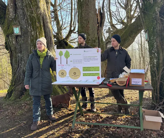 Waldbaureferentin Gabriele Wieser informierte über die Auswahl der Z-Stämme sowie über die richtige Pflege. | Foto: MeinBezirk