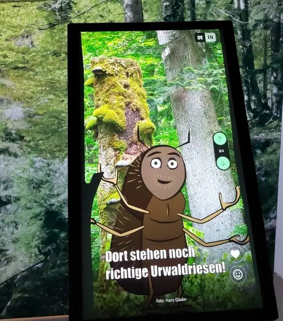 Borkenkäfer Ipsi als Begleiter durch die Wald:Welten 