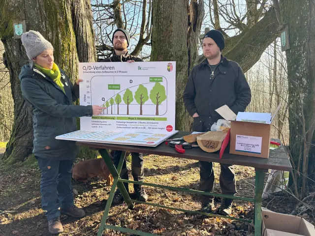 Waldbaureferentin Gabriele Wieser informierte über die Auswahl der Z-Stämme sowie über die richtige Pflege. | Foto: MeinBezirk