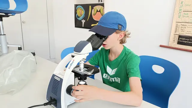 Foto: Marktgemeinde Perchtoldsdorf