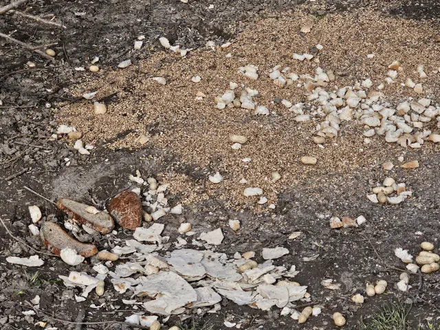 Ein Floridsdorfer beschwert sich über die Essensreste-Situation um den Park beim Obergfellplatz. | Foto: zVg